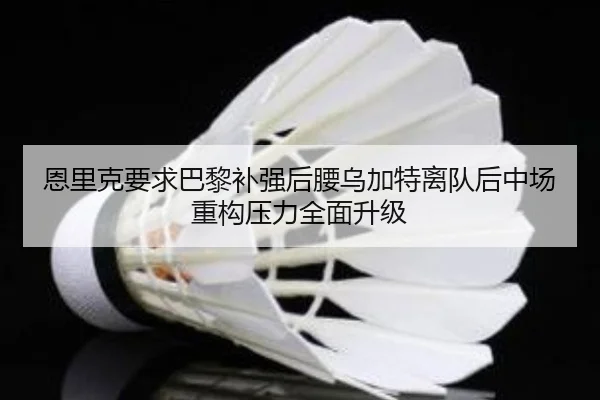 恩里克要求巴黎补强后腰乌加特离队后中场重构压力全面升级